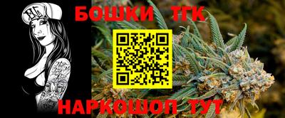 индика Тулун