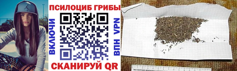 Галлюциногенные грибы GOLDEN TEACHER  Смоленск 