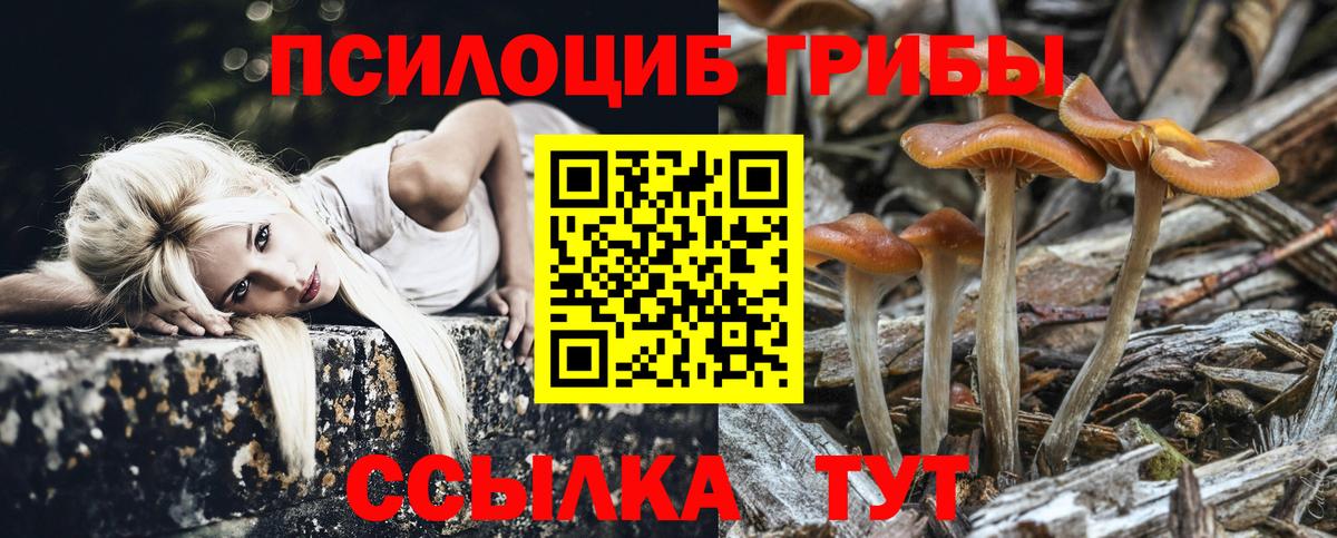 Псилоцибиновые грибы мухоморы  Псилоцибиновые грибы MAGIC MUSHROOMS  Смоленск  Вход с VPN 